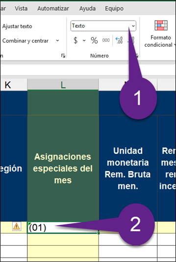 Ejemplo de asignaciones especiales código (01)